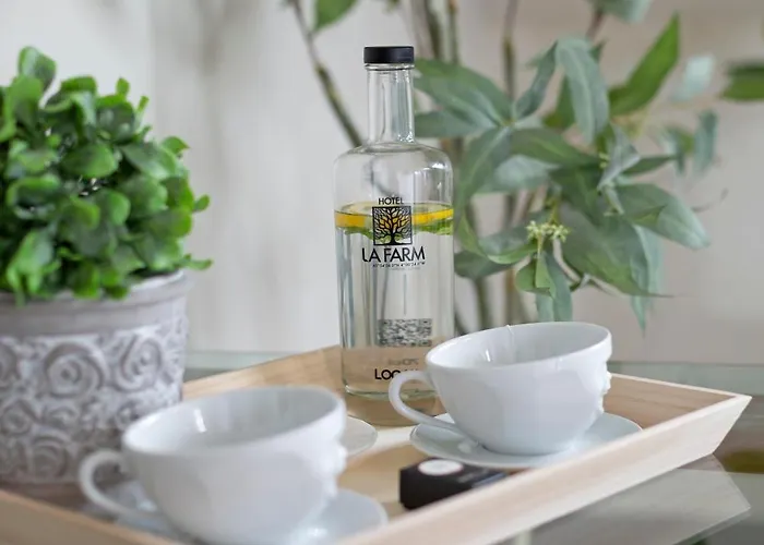 Hospedium La Farm Hotel 2*